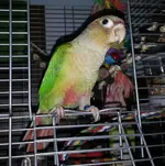 20140716_171649-1[1].webp
