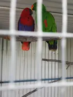 20160706_113559.webp