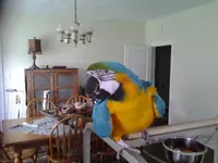 20140719_110007.webp