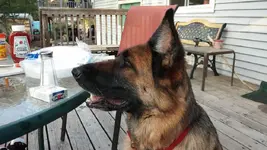 20140503_190951.webp