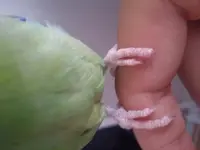 20160710_172906.webp