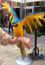image.webp