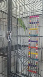 IMG-20160731-WA0002.webp