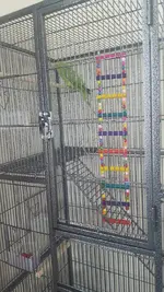 IMG-20160731-WA0000.webp