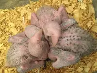 uploadfromtaptalk1434169482562.webp uploadfromtaptalk1434169482562.webp