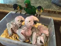 uploadfromtaptalk1434169490820.webp uploadfromtaptalk1434169490820.webp