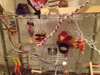 008.webp