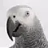 mctbone13@comcast.net