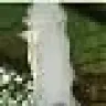 Shani