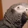 Manfred
