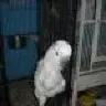 hvnleigh