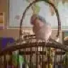 montysmom