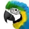 Aves