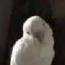 MeAndMyG2