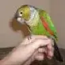 Rickyt