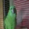 pollysmama