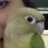 hectorbby