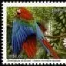 macawtornado