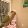 Jrobison