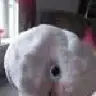 Ashleytms88