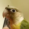 Fuujoshii