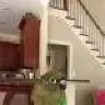 babytree