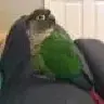 Deniseb153