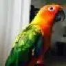 Marley225