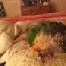 JaniceAKConure