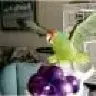 mrtony8