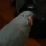 LisaReginato