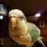Frankie