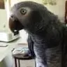 jcharbula