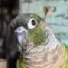Tuckermonster
