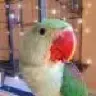 dantes_beak