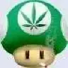 MushroomMang