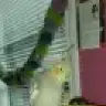 CrazyCockatiel