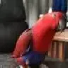 angryredchicken