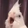 Altalex