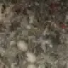 Trebor1