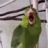 SkidRowSennie