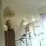 polobird1