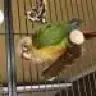 loulouluna