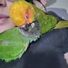 pmaddie21