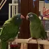 Specialpk