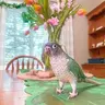 BrunoBird
