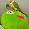 gypsybug97