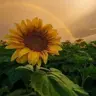 Heyyyitsmom