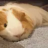 mimiandtuna