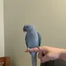 aurasky